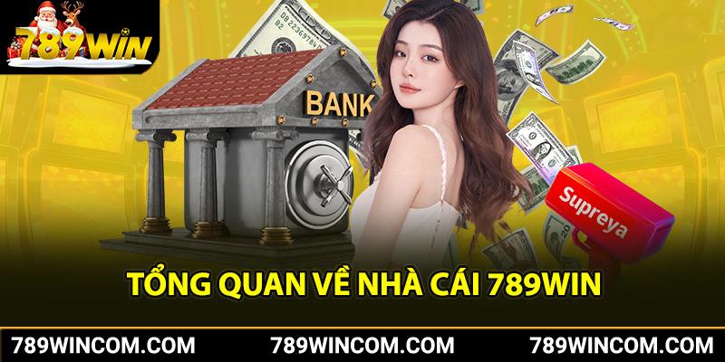 Tổng quan về nhà cái cá cược 789win