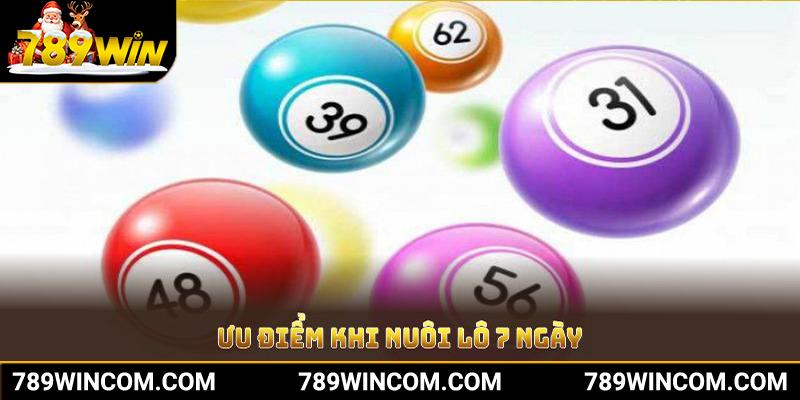 Ưu điểm khi nuôi lô 7 ngày từ 789Win